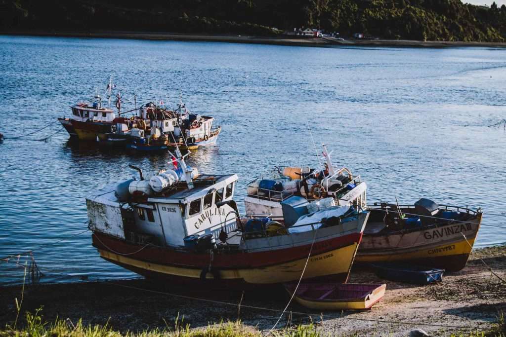 Bateaux à Dalcahue