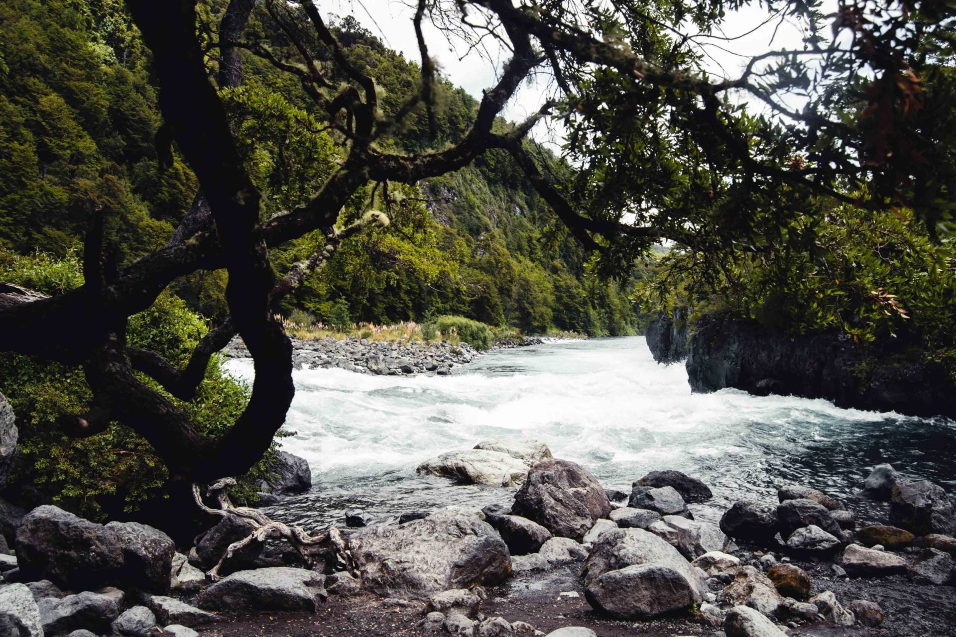 Rivière Pétrohué