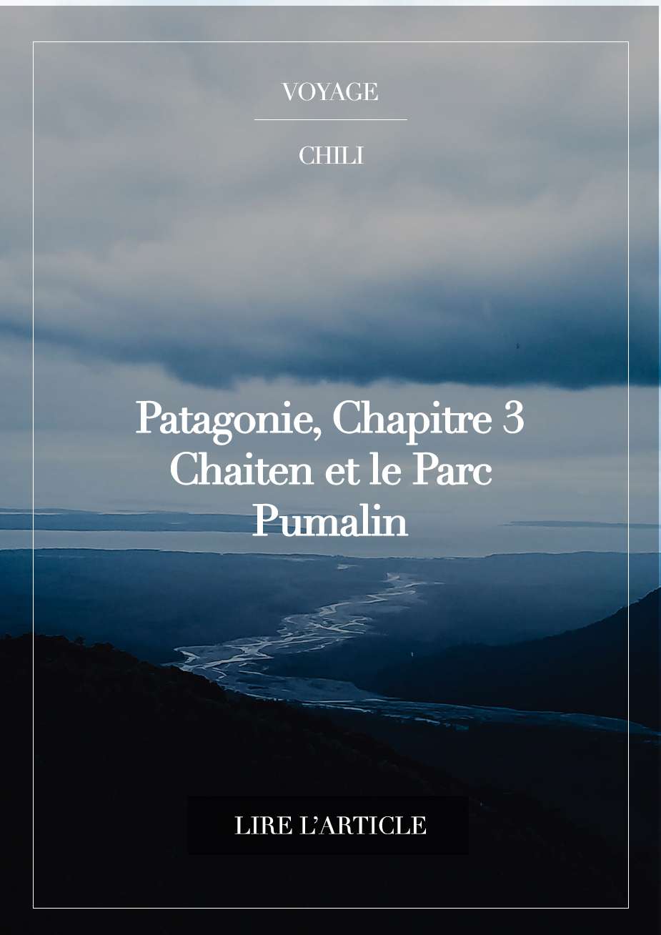 Lire la suite à propos de l’article PATAGONIE, CHAPITRE 3 – Chaiten et le Parc Pumalín