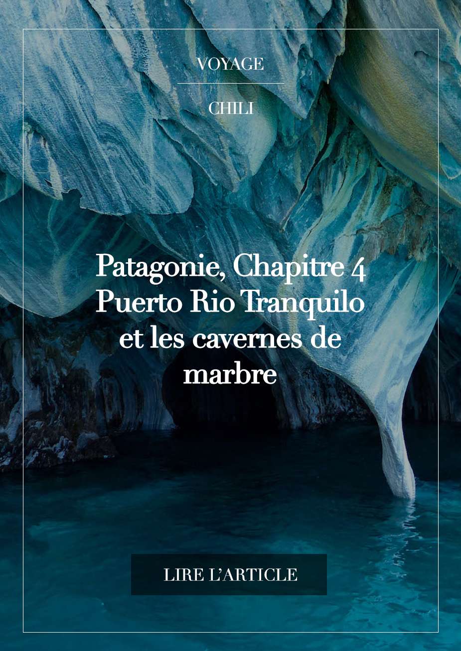 Lire la suite à propos de l’article PATAGONIE, CHAPITRE 4 – Puerto Río Tranquilo