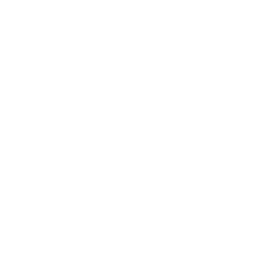 logo light